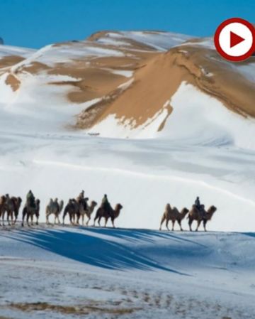 【直航大同】內蒙古、山西跨省聯遊草原+沙漠+溫泉8天純玩團
響沙灣、哈素海旅遊區~敕勒川草原、大召寺、成吉思汗陵、雲岡石窟、懸空寺、應懸木塔、大同城牆、"山西華清池"湯頭溫泉