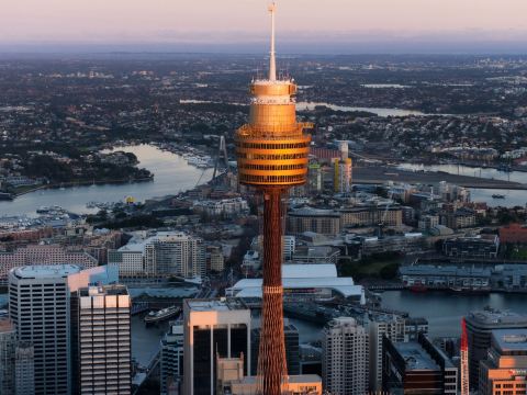 悉尼塔觀景台