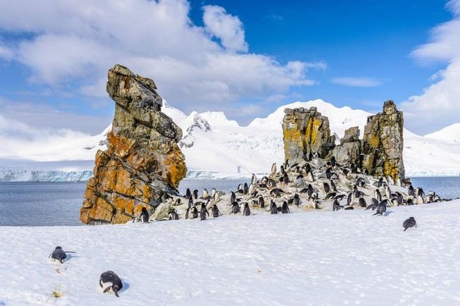 South Shetland Islands