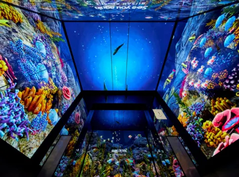 X the SKY 觀景台 高速電梯