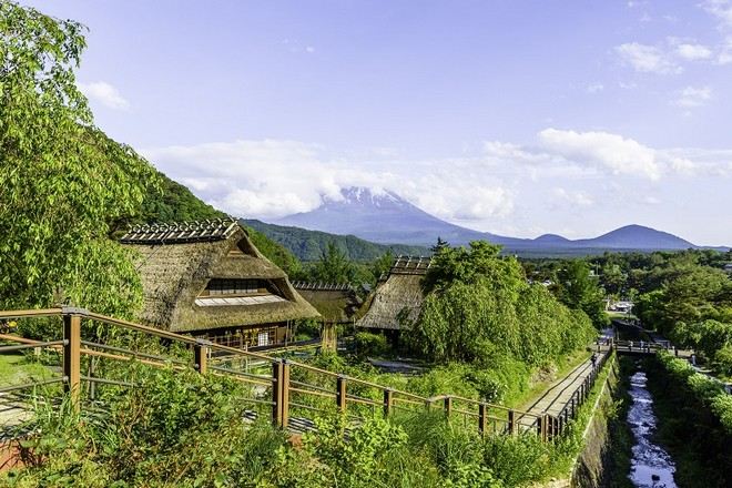 _日本_富士白川鄉_夏天