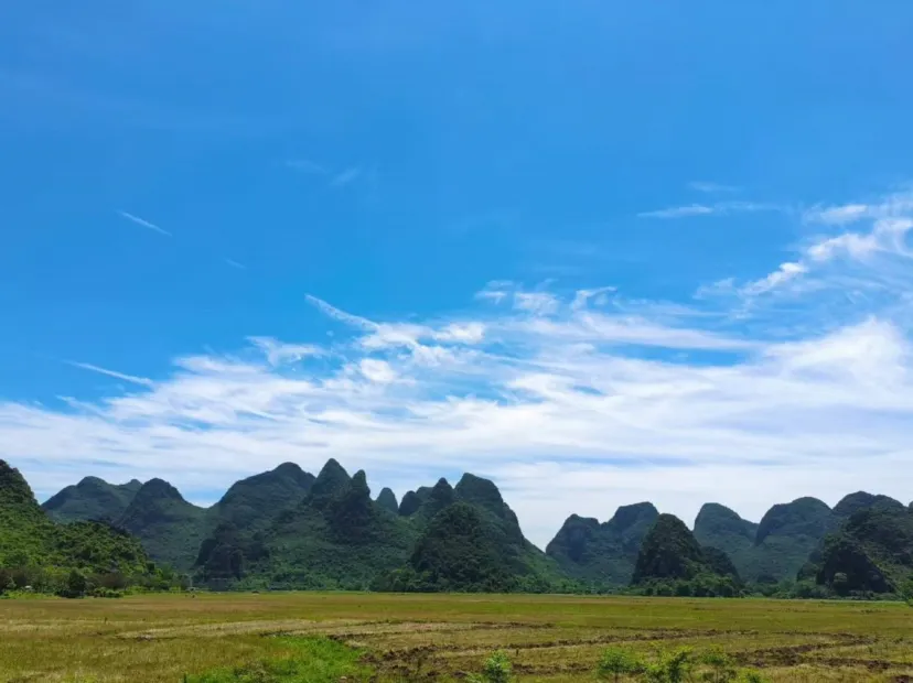 田心村