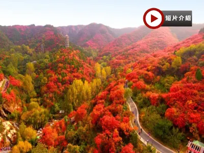 《季節限定》【國泰航空】🍁 秋韻齊魯~山東紅葉賞秋🍁5天升純團 青島(八大關🍁、啤酒博物館)、淄博(紅葉柿岩景區🍁)、泰安(五嶽之首~泰山)、濟南(紅葉谷生態文化旅遊區🍁) 《季節限定》【國泰航空】🍁 秋韻齊魯~山東紅葉賞秋🍁5天升純團 青島(八大關🍁、啤酒博物館)、淄博(紅葉柿岩景區🍁)、泰安(五嶽之首~泰山)、濟南(紅葉谷生態文化旅遊區🍁)
