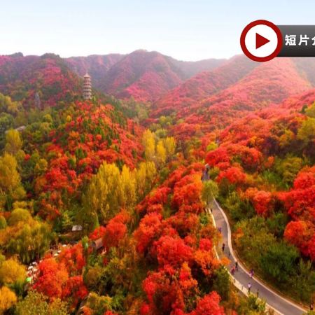 《季節限定》【國泰航空】🍁 秋韻齊魯~山東紅葉賞秋🍁5天升純團  青島(八大關🍁、啤酒博物館)、淄博(紅葉柿岩景區🍁)、泰安(五嶽之首~泰山)、濟南(紅葉谷生態文化旅遊區🍁)