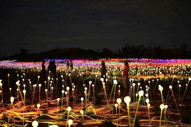 原野星光藝術展