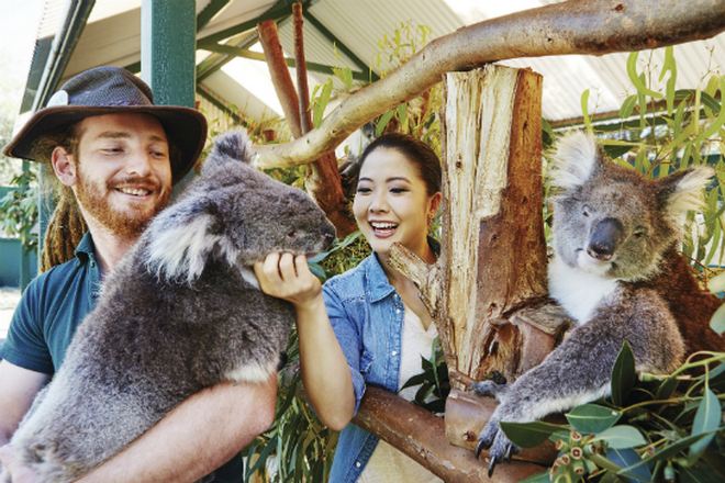 卡弗沙姆野生動物園
