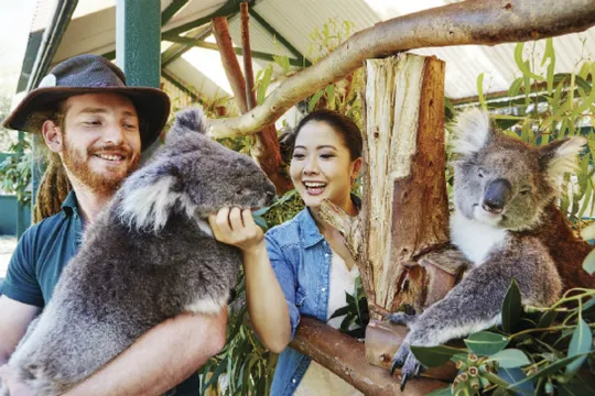 卡弗沙姆野生動物園