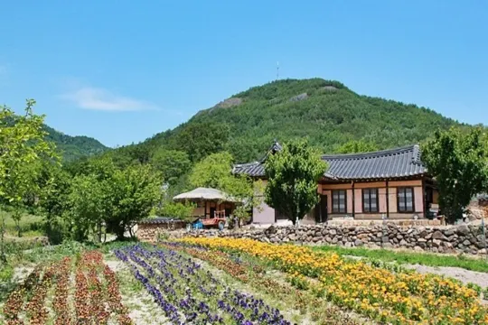 百年韓屋旺谷古村 春 