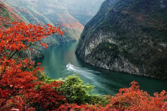 三峽紅葉