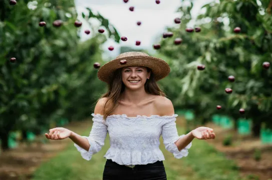 Cherry Hill Orchards