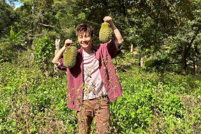 檳城榴槤山果園