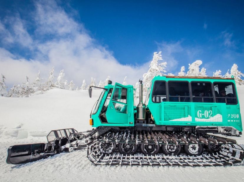 Wild Monster雪怪車