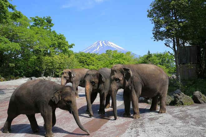 富士野生動物園