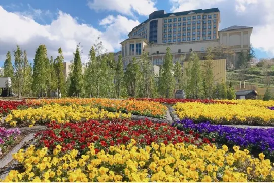 Flower Garden 森之風