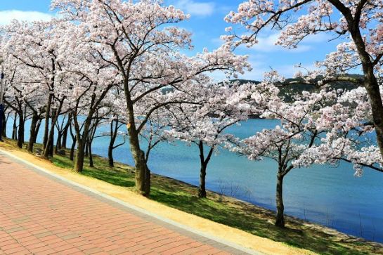 普門湖觀光園地