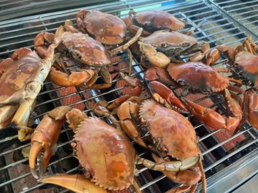 魚排特色海鮮餐#【清蒸龍虎斑魚+烤螃蟹(每人1隻)】