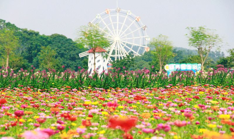 高明盈香生態園