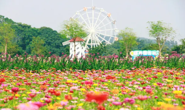 高明盈香生態園