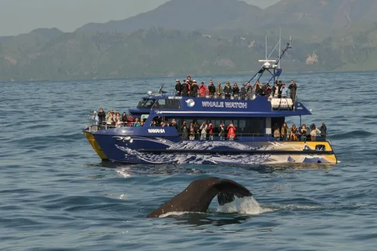 觀鯨之旅