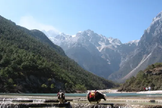 玉龍雪山-白水河