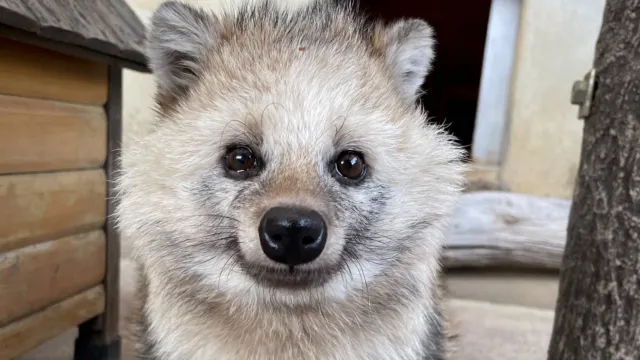 市川市動植物園