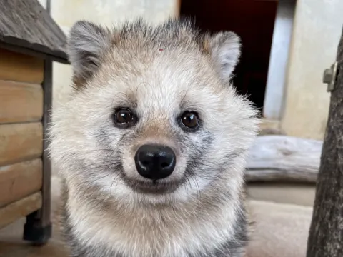 市川市動植物園