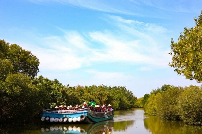 台版亞馬遜河~四草綠色隧道