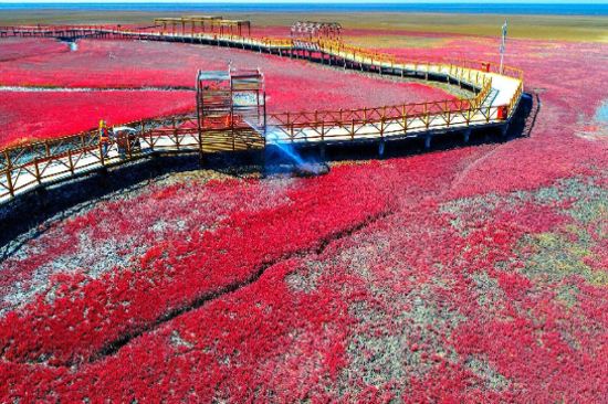 紅海灘國家風景廊道
