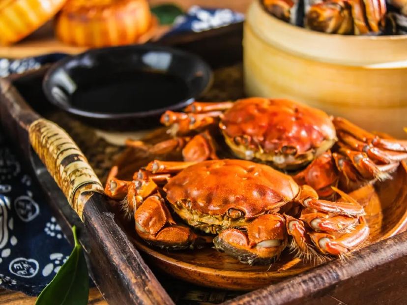 陽澄湖大閘蟹