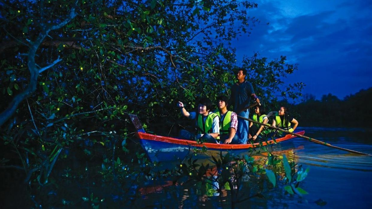 螢火蟲夢幻之旅