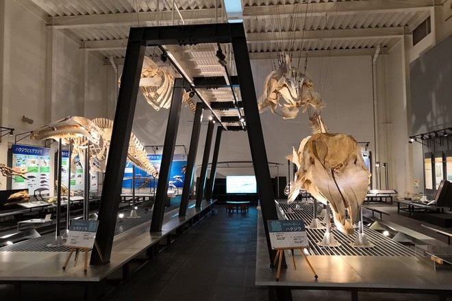 足寄動物化石博物館