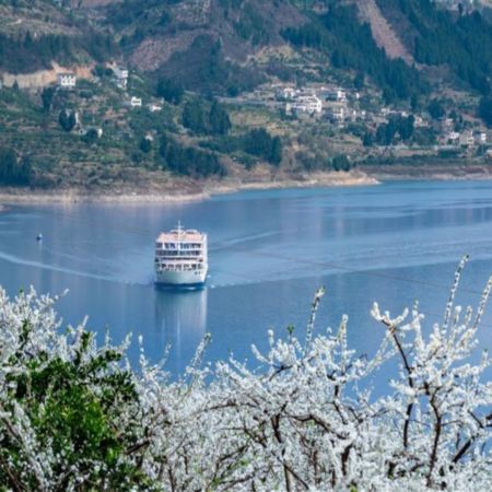 世紀遊輪~榮耀/凱歌/綠洲號(3-4樓江景露台房) 長江三峽(下水)、三峽大壩、豐都鬼城、神女溪、升船機、武隆天生三橋、兩大實景表演《印象武隆》《烽煙三國》、洪崖洞、輕軌穿樓奇觀 8天純玩團