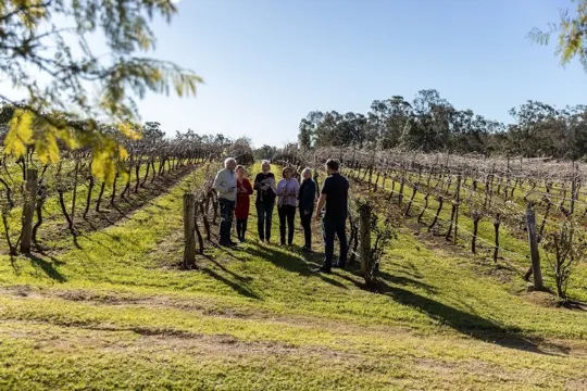 獵人谷葡萄酒莊