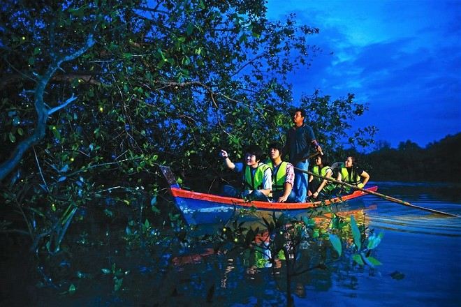 螢火蟲夢幻之旅