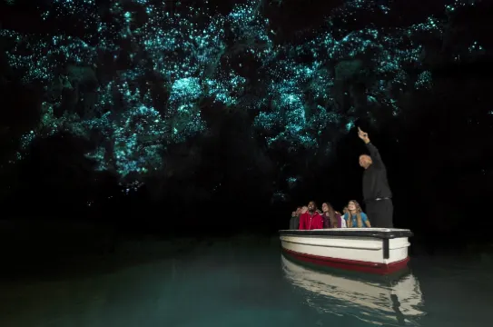 懷托摩鐘乳石洞及螢火蟲洞