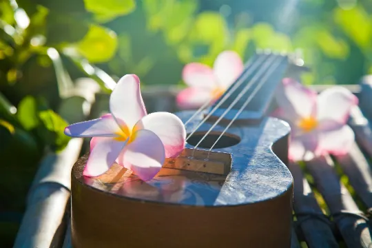 Hawaii- Ukulele
