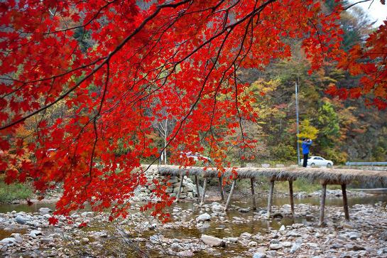 五臺山國立公園