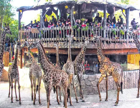 長鹿旅遊休博園