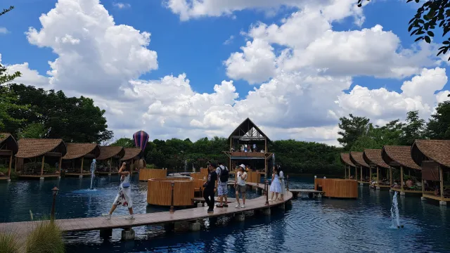 Bubble In The Forest