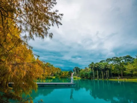 花蓮雲山水夢幻湖獨木橋