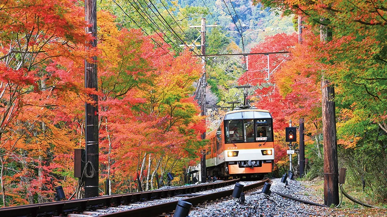 叡山紅葉列車
