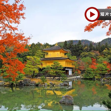 大阪、京都、奈良、和歌山 美景玩樂5天之旅【尊享香港航空貴賓室】賞紅葉名所(京都「世界文化遺產」金閣寺、「日本百大名城」和歌山城、紅葉溪庭園、「世界文化遺產」奈良東大寺、神鹿公園)