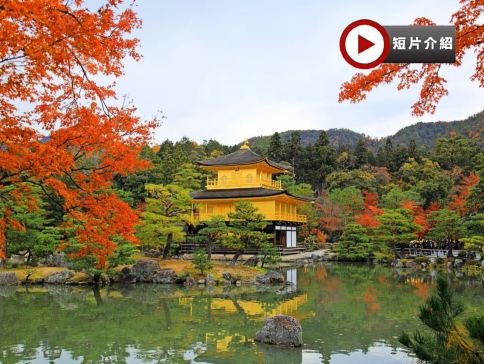 大阪、京都、奈良、和歌山 美景玩樂5天之旅【尊享香港航空貴賓室】賞紅葉名所(京都「世界文化遺產」金閣寺、「日本百大名城」和歌山城、紅葉溪庭園、「世界文化遺產」奈良東大寺、神鹿公園)