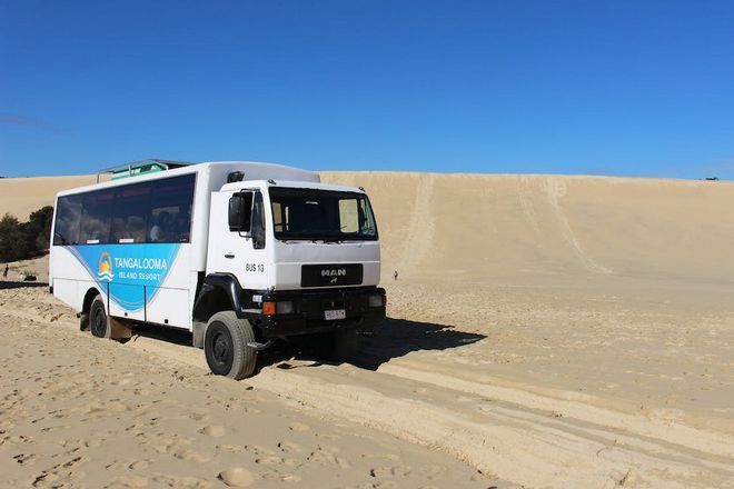 沙漠四驅越野之旅