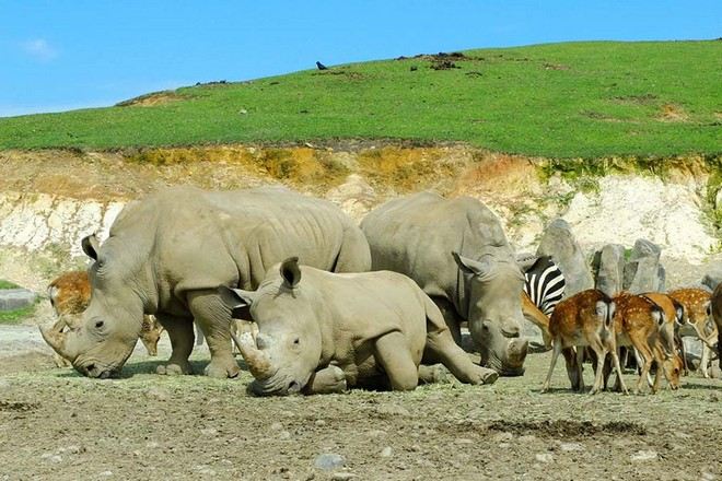 九州自然動物公園