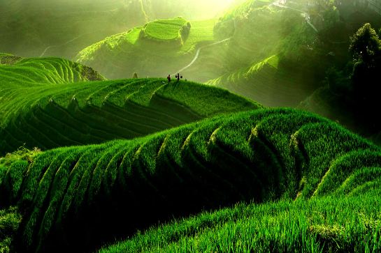 桂林龍脊梯田景區