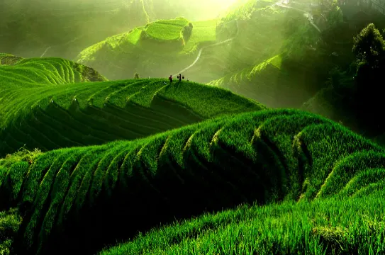 桂林龍脊梯田景區