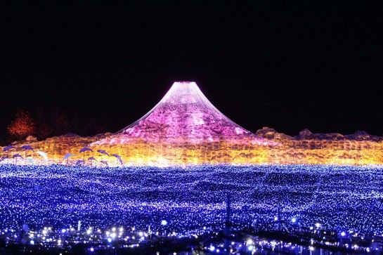 名花之里超人氣冬季彩燈節