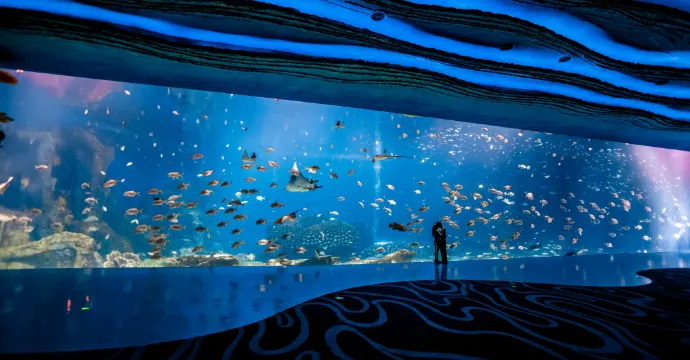 珠海長隆海洋王國