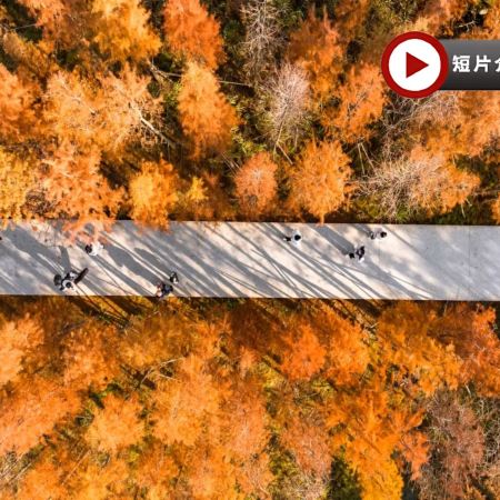 🍁秋色江西‧蟹逅仙境🍁九江、婺源、上饒、景德鎮、南昌6天純玩高鐵團  【賞秋勝景：婺源石城、篁嶺、鳳凰溝、廬山、魚尾洲公園】、日夜雙遊望仙谷、靈山(雲頂天梯)、弦高古城·西湖氹、景德鎮陶瓷DIY
